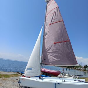 33
